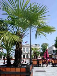 Place de la mairie