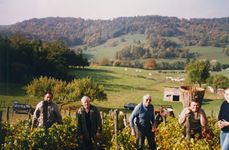 Surpris en pleines vendanges ! Surpris en pleines vendanges !